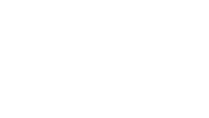 Royal Diamond Nails